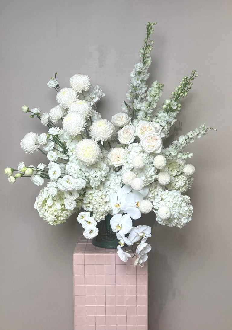 WhatsApp Image 2025-10-29 at 08.03.35_0333d830 WhatsApp Image 2025-10-29 at 08.03.35_0333d830