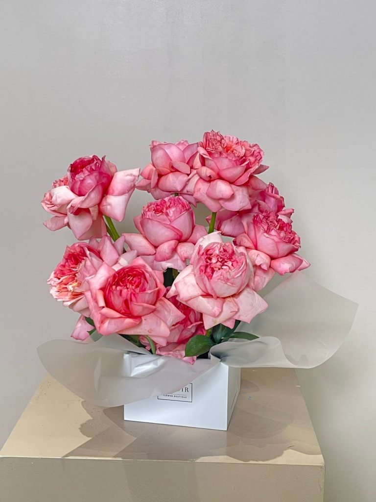 WhatsApp Image 2025-10-31 at 08.48.36_52df6354 WhatsApp Image 2025-10-31 at 08.48.36_52df6354