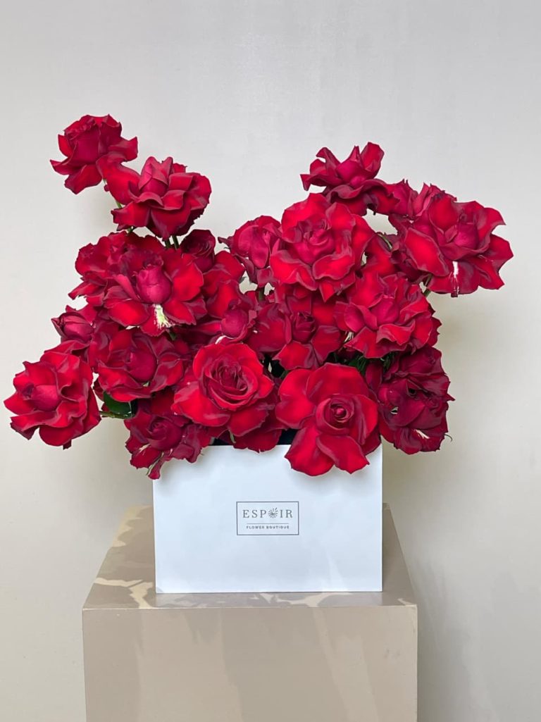 WhatsApp Image 2025-11-01 at 08.35.01_ff24ac97