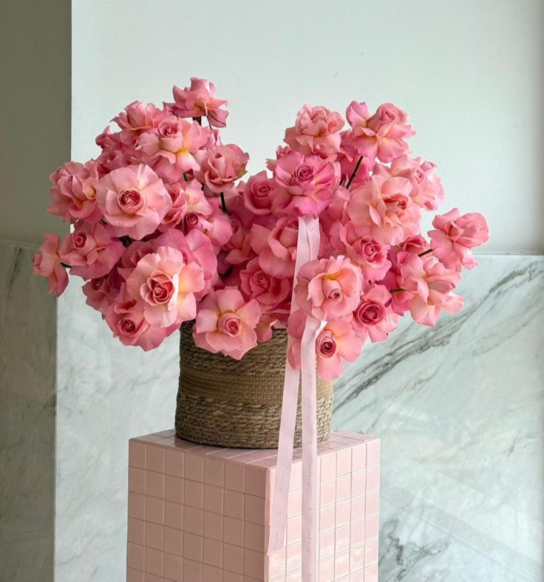 WhatsApp Image 2025-11-01 at 09.16.56_71db7aea