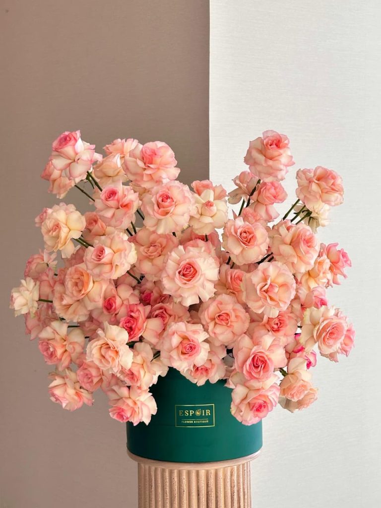 WhatsApp Image 2025-11-01 at 09.18.36_420a48bf WhatsApp Image 2025-11-01 at 09.18.36_420a48bf