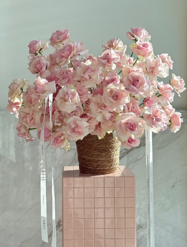 WhatsApp Image 2025-11-01 at 09.18.37_40dddb5a WhatsApp Image 2025-11-01 at 09.18.37_40dddb5a