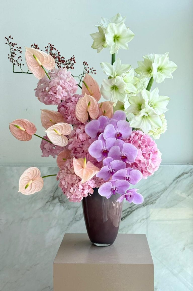 WhatsApp Image 2025-11-04 at 08.48.02_ae29660d WhatsApp Image 2025-11-04 at 08.48.02_ae29660d