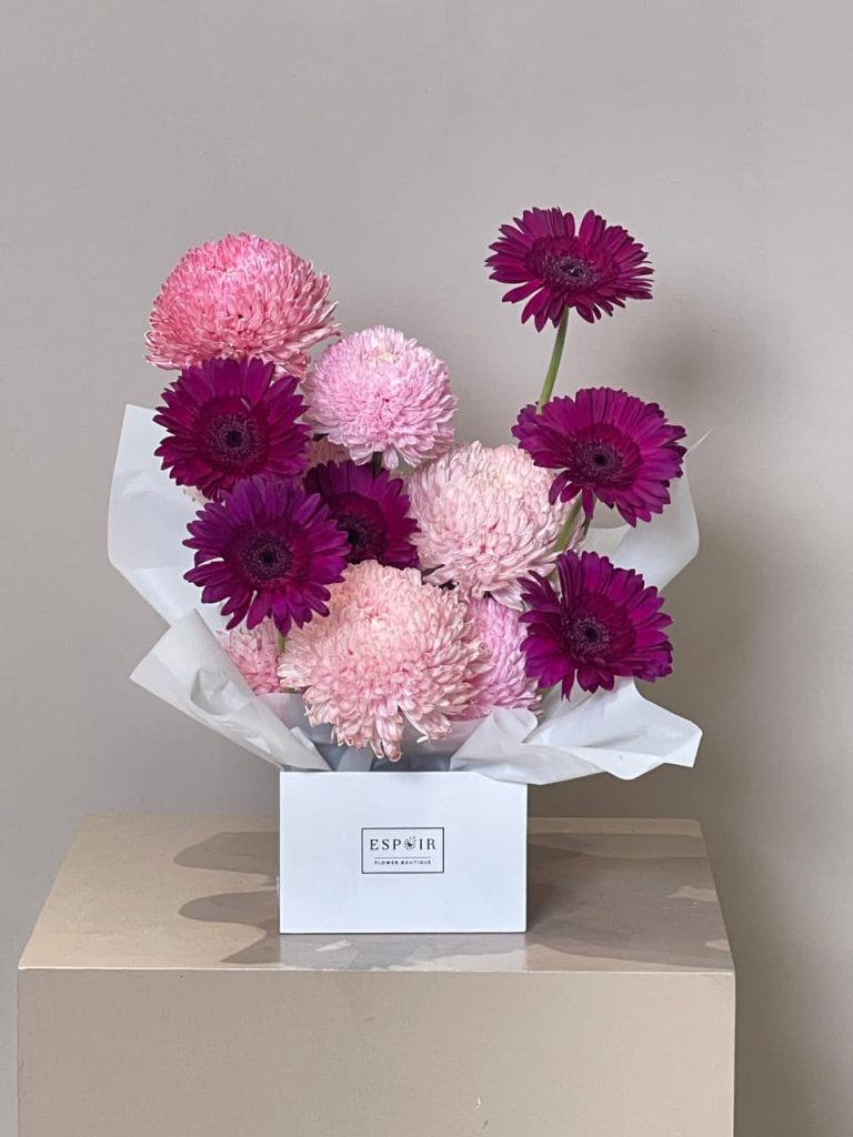 WhatsApp Image 2025-11-05 at 08.42.51_ead0c61a WhatsApp Image 2025-11-05 at 08.42.51_ead0c61a