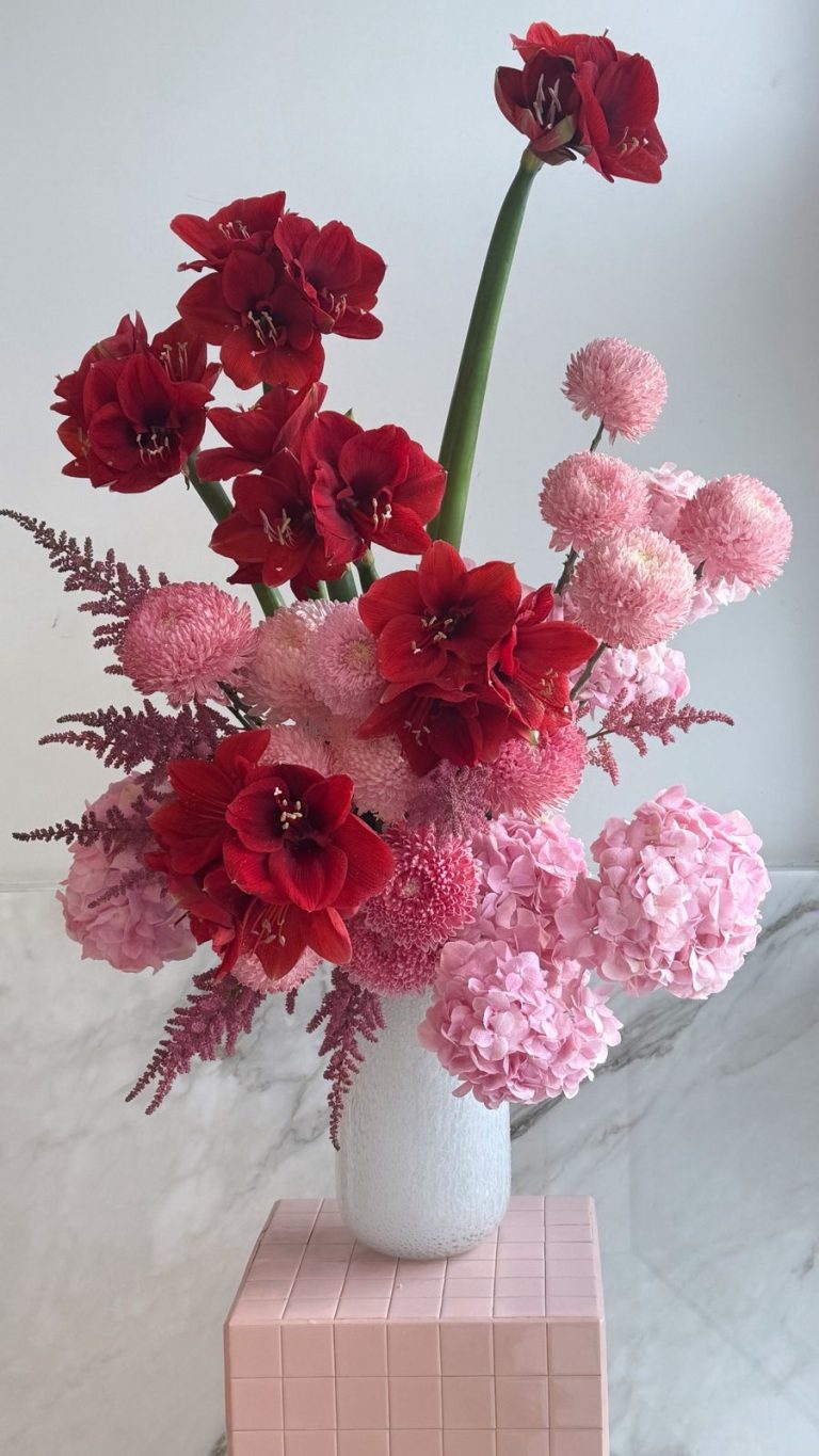 WhatsApp Image 2025-11-05 at 09.52.19_47a803ef WhatsApp Image 2025-11-05 at 09.52.19_47a803ef