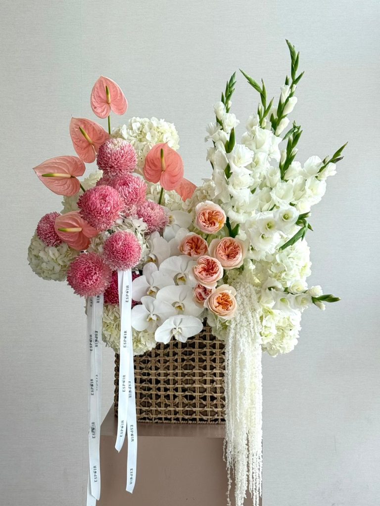 WhatsApp Image 2025-11-07 at 08.37.51_2b7473a6 WhatsApp Image 2025-11-07 at 08.37.51_2b7473a6