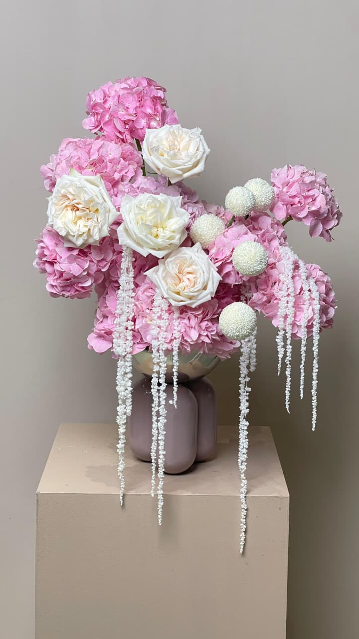 WhatsApp Image 2025-11-08 at 10.03.11_c599fc48 WhatsApp Image 2025-11-08 at 10.03.11_c599fc48