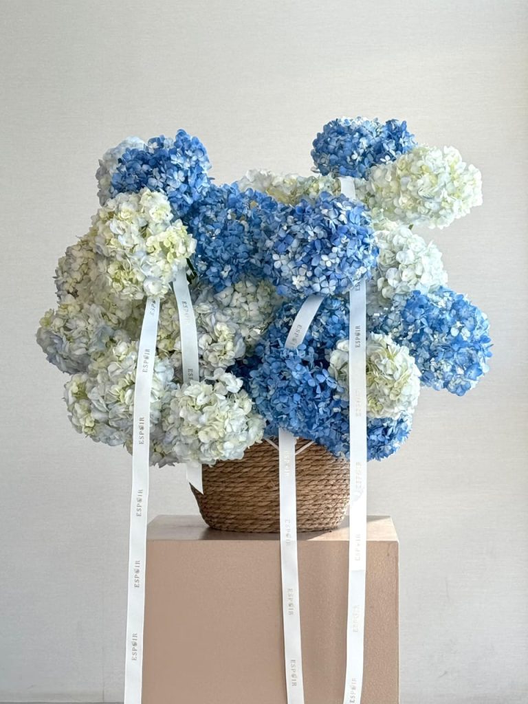 WhatsApp Image 2025-11-14 at 09.00.35_77913721