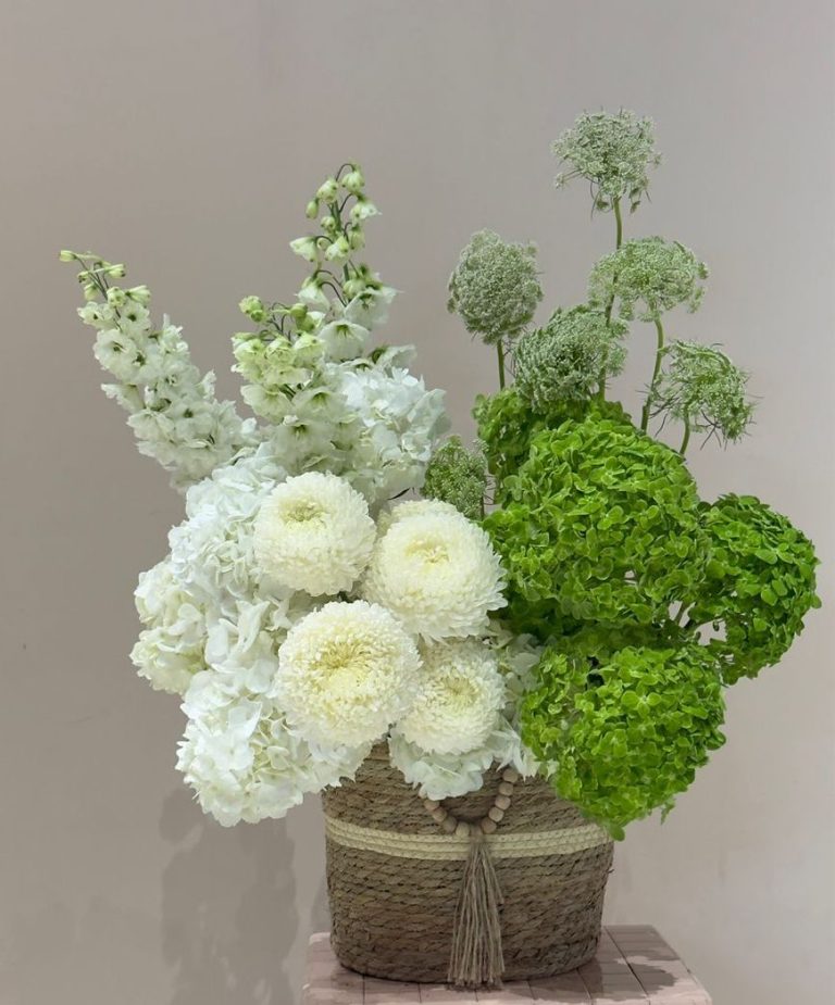 WhatsApp Image 2025-11-18 at 08.38.32_f77cf1eb WhatsApp Image 2025-11-18 at 08.38.32_f77cf1eb