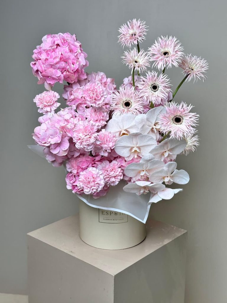 WhatsApp Image 2025-11-22 at 07.58.35_aa2b1cf2 WhatsApp Image 2025-11-22 at 07.58.35_aa2b1cf2