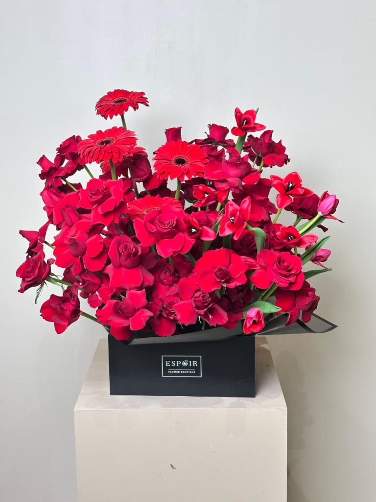 WhatsApp Image 2025-11-22 at 07.58.36_f58d29c6 WhatsApp Image 2025-11-22 at 07.58.36_f58d29c6