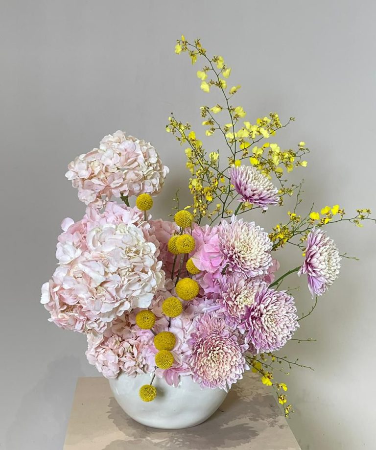 WhatsApp Image 2025-11-23 at 10.11.46_43526fbf WhatsApp Image 2025-11-23 at 10.11.46_43526fbf