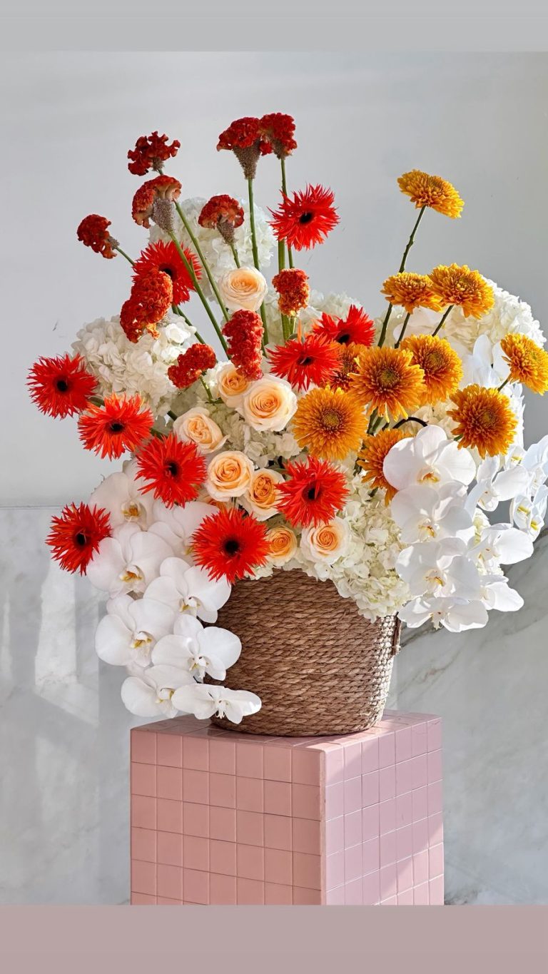 WhatsApp Image 2025-11-27 at 09.21.04_6836bc49 WhatsApp Image 2025-11-27 at 09.21.04_6836bc49