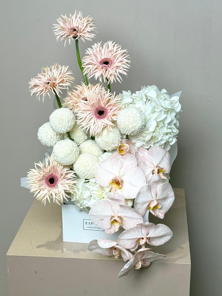 WhatsApp Image 2025-12-05 at 08.14.01_37d46adb WhatsApp Image 2025-12-05 at 08.14.01_37d46adb