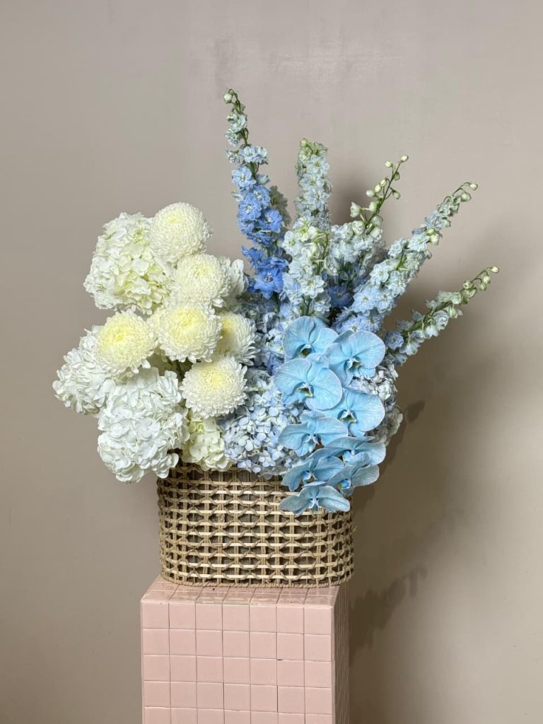 WhatsApp Image 2025-12-10 at 08.06.48_c7ef8a3f