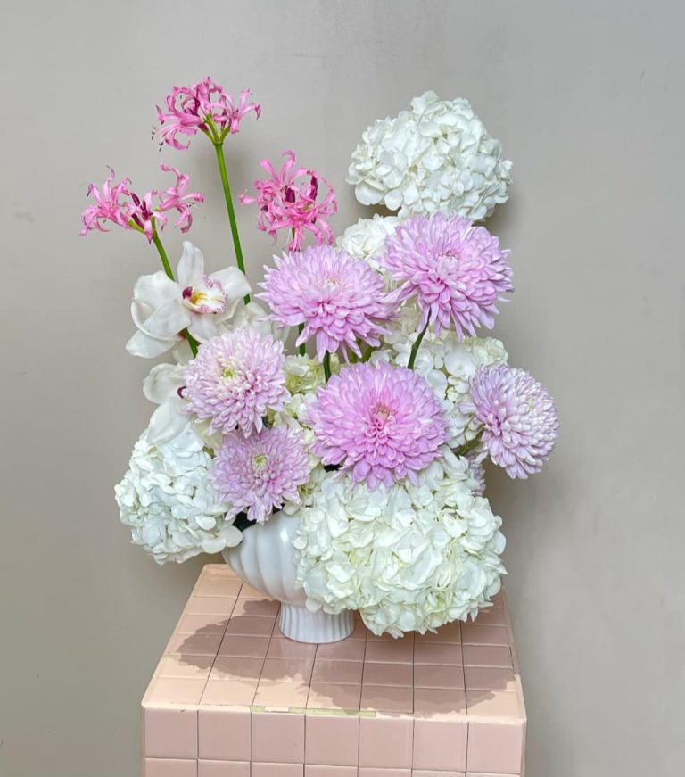 WhatsApp Image 2025-12-11 at 08.28.29_d3b702d0