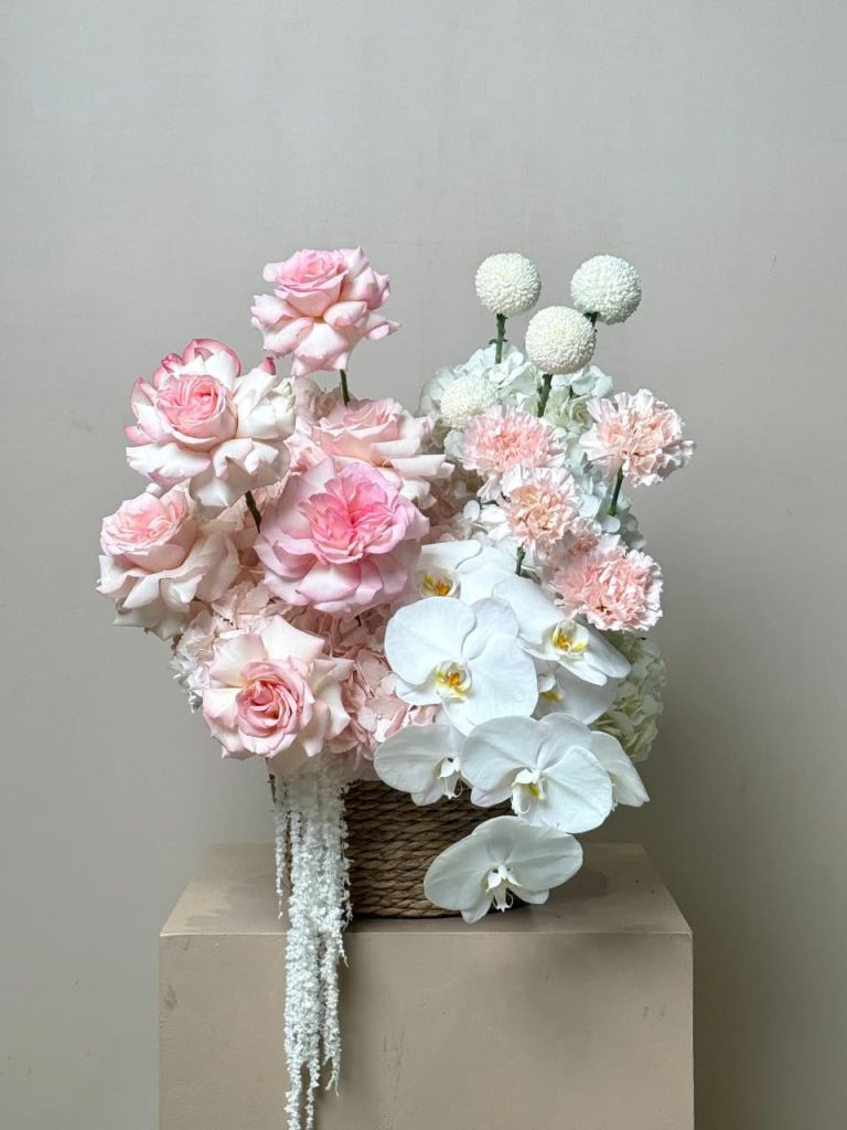 WhatsApp Image 2025-12-12 at 09.39.34_67eda16d