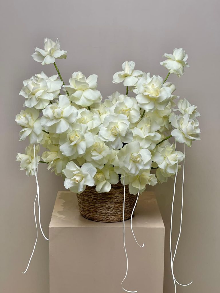 WhatsApp Image 2025-12-13 at 08.38.01_d4b73abc