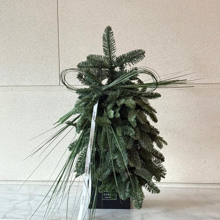 WhatsApp Image 2025-12-15 at 09.11.20_c378a447