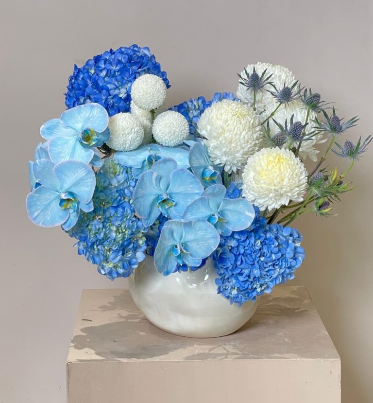 WhatsApp Image 2025-12-17 at 8.27.58 AM WhatsApp Image 2025-12-17 at 8.27.58 AM