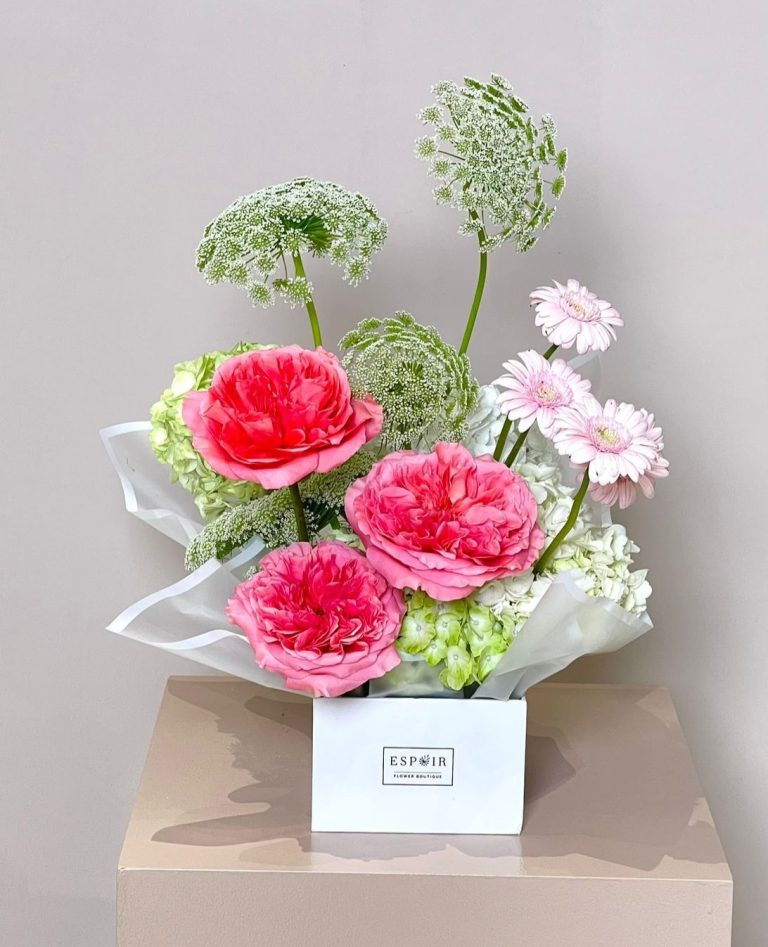 WhatsApp Image 2025-12-22 at 9.18.05 AM