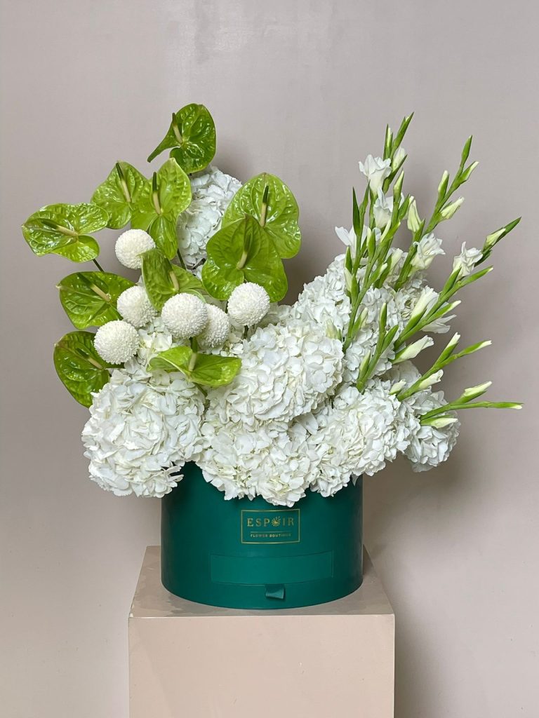 WhatsApp Image 2025-12-28 at 11.27.52 AM WhatsApp Image 2025-12-28 at 11.27.52 AM