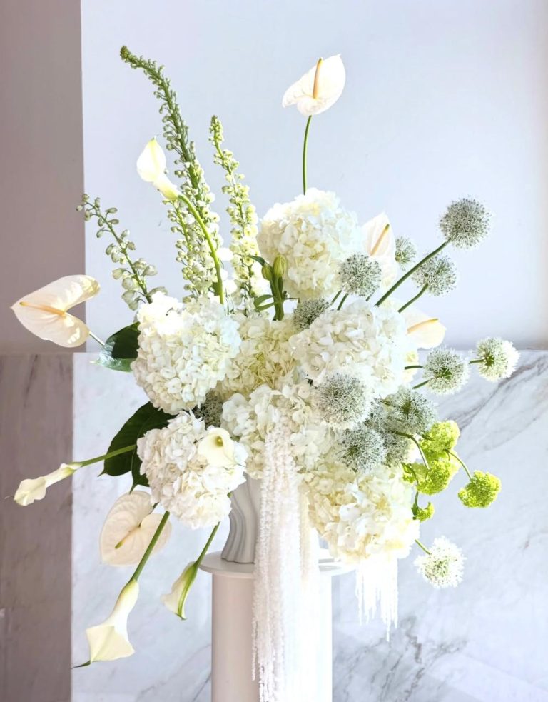 WhatsApp Image 2025-12-28 at 9.37.49 AM