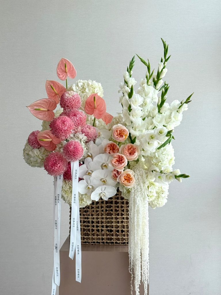 WhatsApp Image 2025-12-30 at 1.15.29 PM