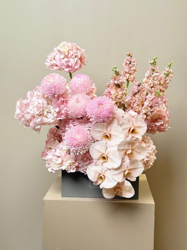 WhatsApp Image 2025-12-31 at 11.12.39 AM