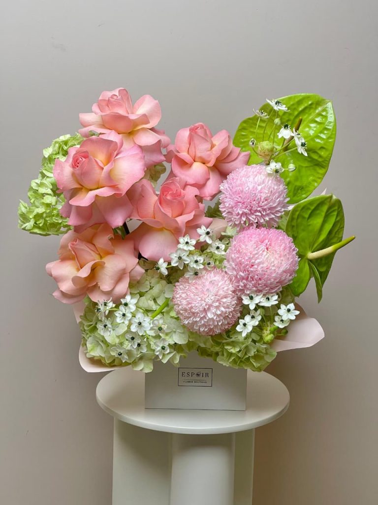 WhatsApp Image 2026-01-02 at 9.31.24 AM WhatsApp Image 2026-01-02 at 9.31.24 AM