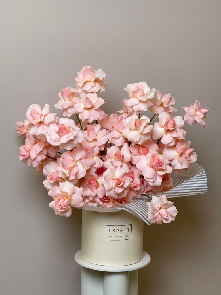 WhatsApp Image 2026-01-02 at 9.31.27 AM