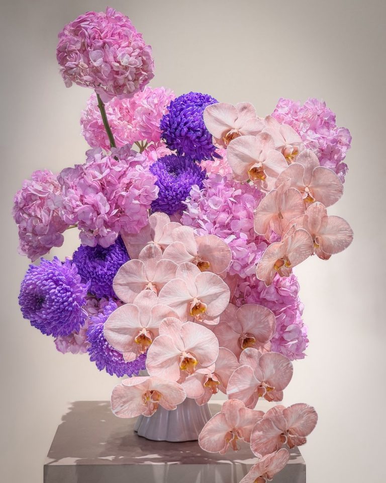 WhatsApp Image 2026-01-04 at 1.28.01 PM