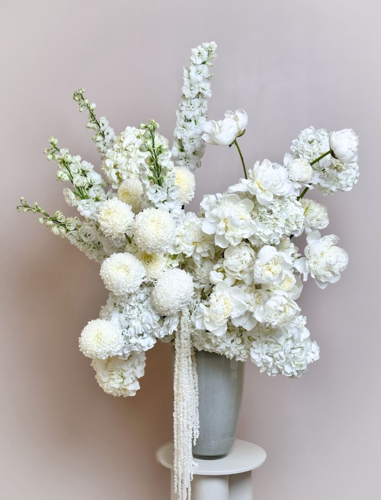 WhatsApp Image 2026-01-06 at 8.58.50 AM