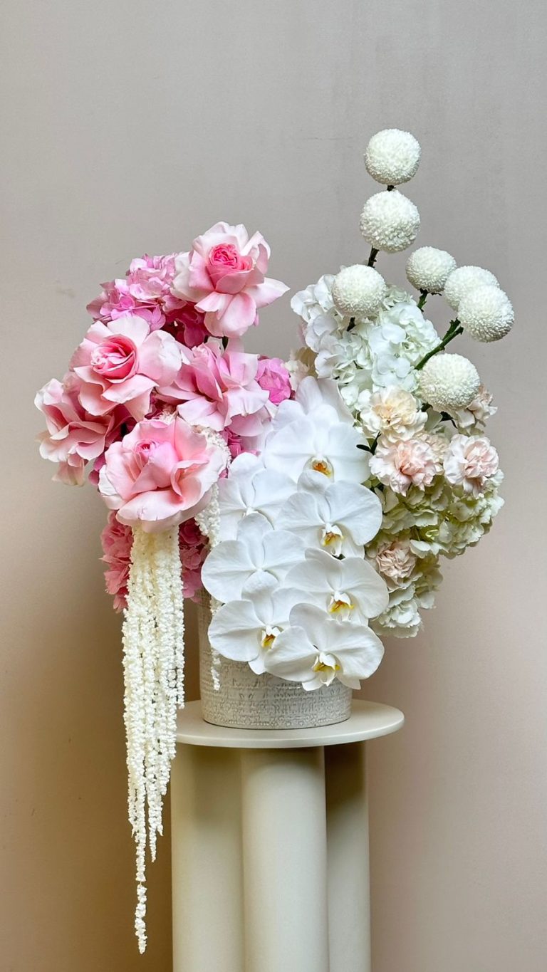 WhatsApp Image 2026-01-08 at 9.35.25 AM