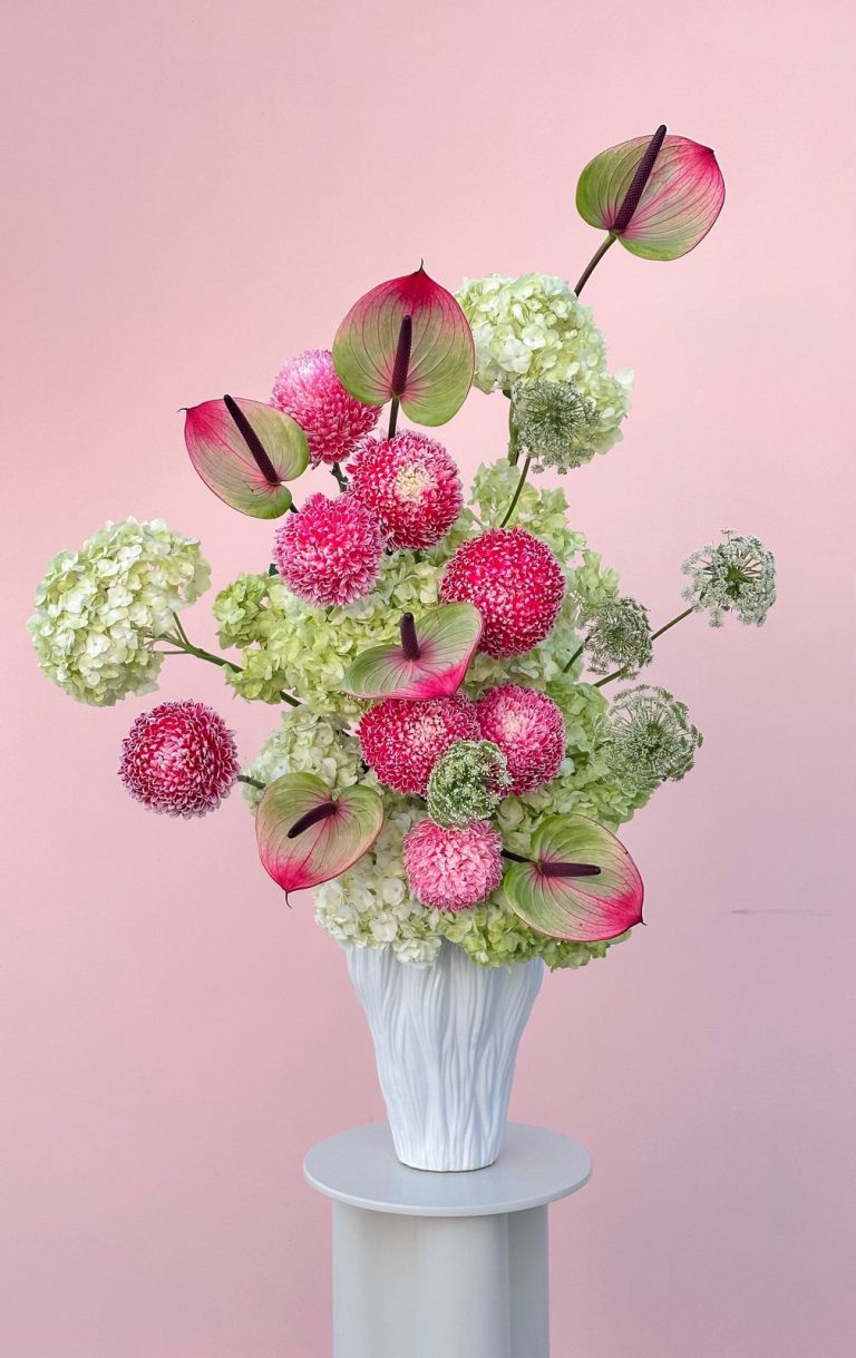 WhatsApp Image 2026-01-08 at 9.52.30 AM