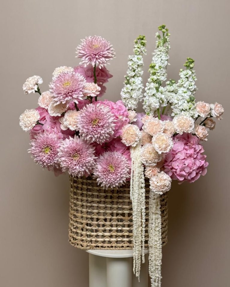 WhatsApp Image 2026-01-11 at 11.07.57 AM