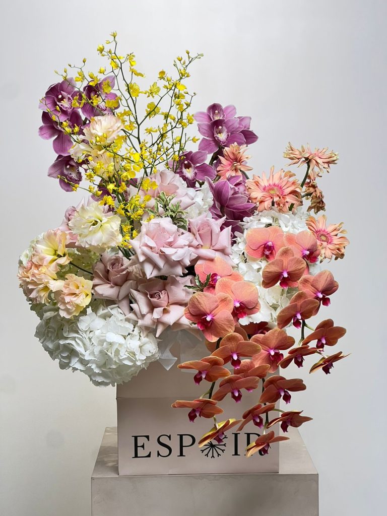 WhatsApp Image 2026-01-20 at 4.17.43 PM