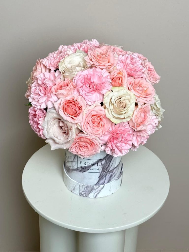 WhatsApp Image 2026-01-22 at 10.13.59 AM