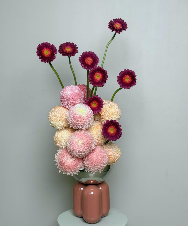 WhatsApp Image 2026-01-22 at 8.42.55 AM