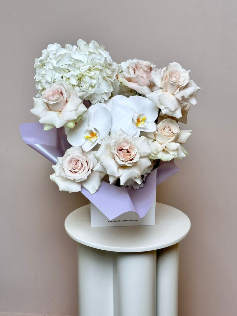 WhatsApp Image 2026-01-24 at 10.37.04 AM