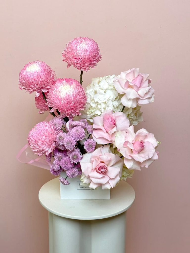 WhatsApp Image 2026-01-28 at 10.46.41 AM