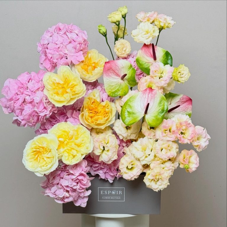 WhatsApp Image 2026-02-06 at 1.09.32 PM