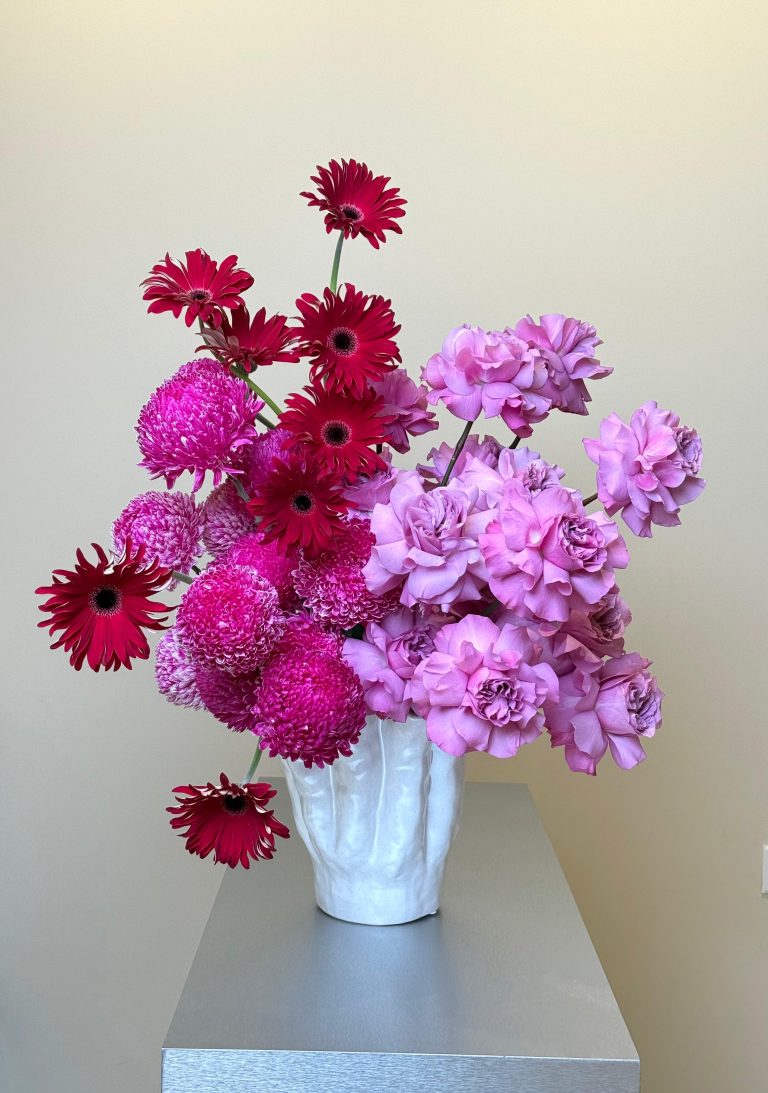 WhatsApp Image 2026-02-06 at 10.10.00 AM (1)