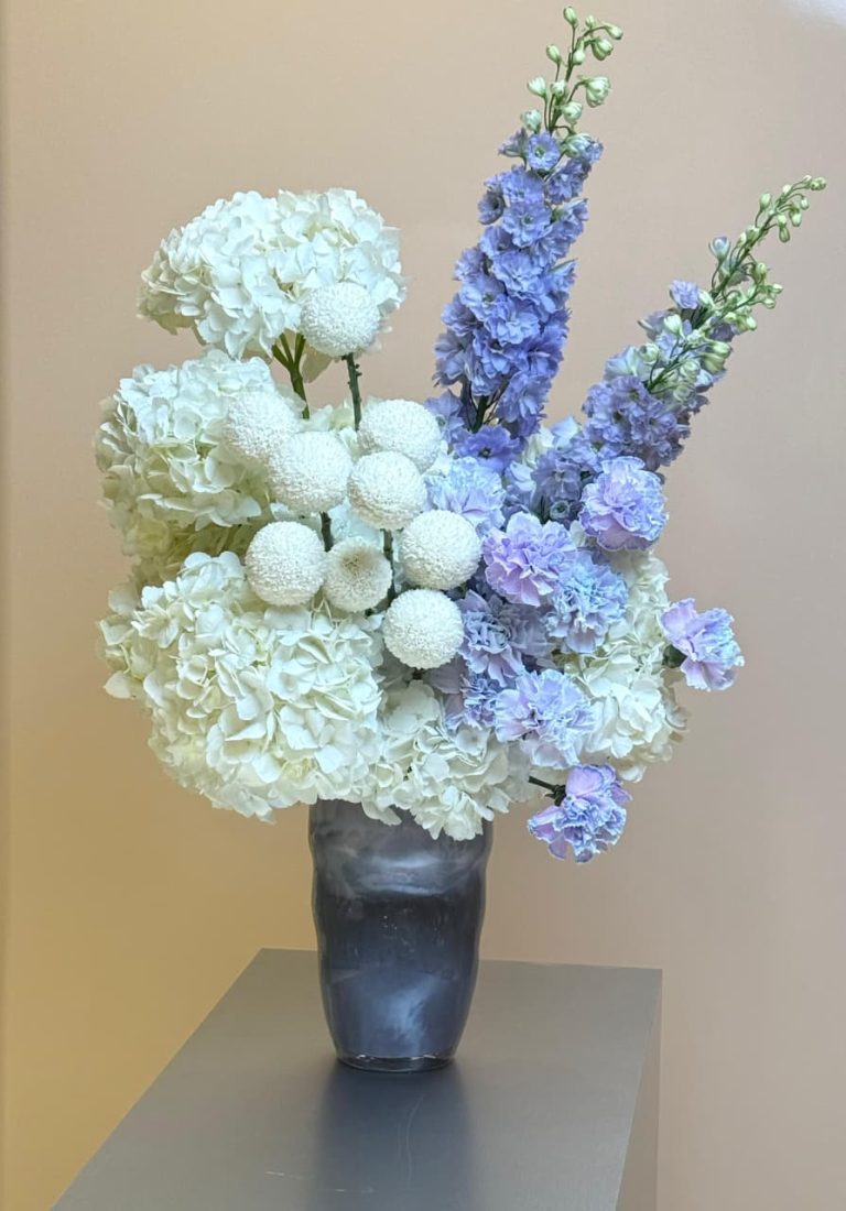 WhatsApp Image 2026-02-08 at 9.11.42 AM