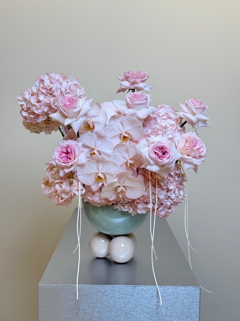 WhatsApp Image 2026-02-08 at 9.28.15 AM WhatsApp Image 2026-02-08 at 9.28.15 AM