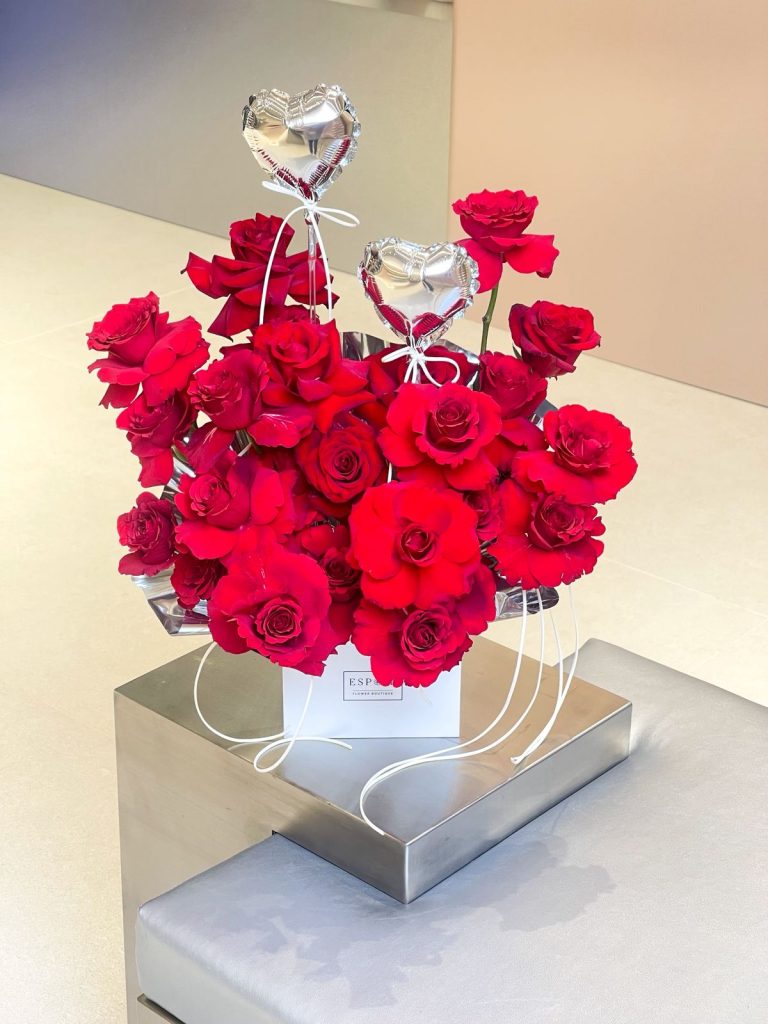 WhatsApp Image 2026-02-12 at 11.19.49 AM WhatsApp Image 2026-02-12 at 11.19.49 AM