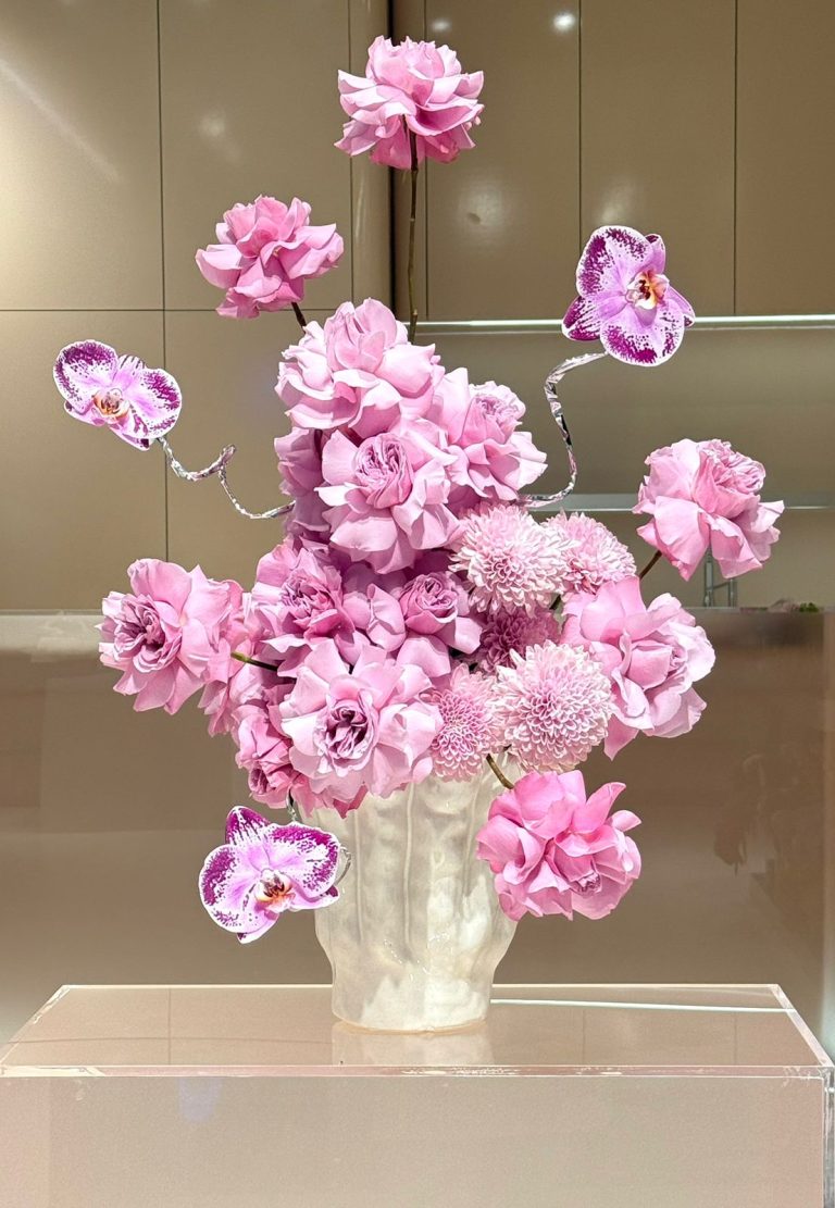 WhatsApp Image 2026-02-25 at 11.38.59 AM