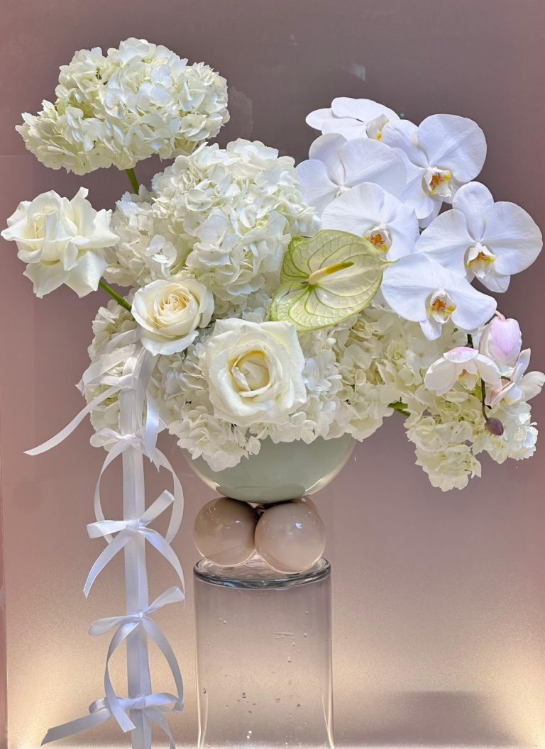 WhatsApp Image 2026-02-26 at 9.49.47 PM WhatsApp Image 2026-02-26 at 9.49.47 PM