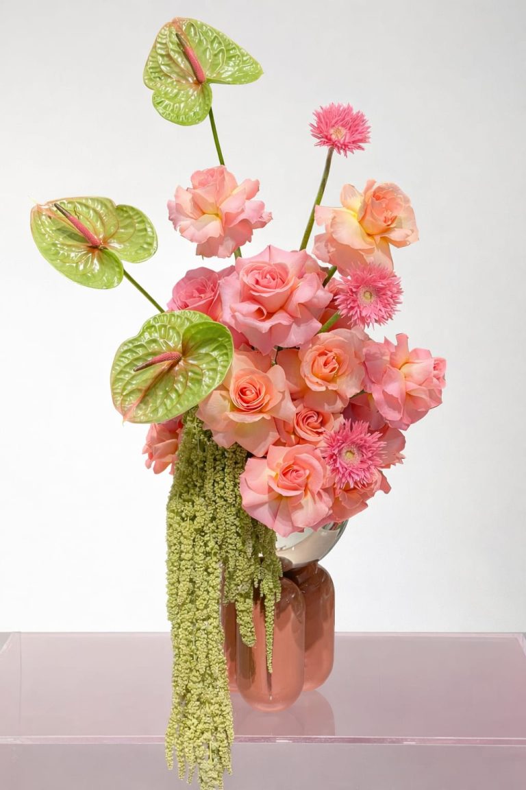 WhatsApp Image 2026-03-02 at 12.18.16 PM