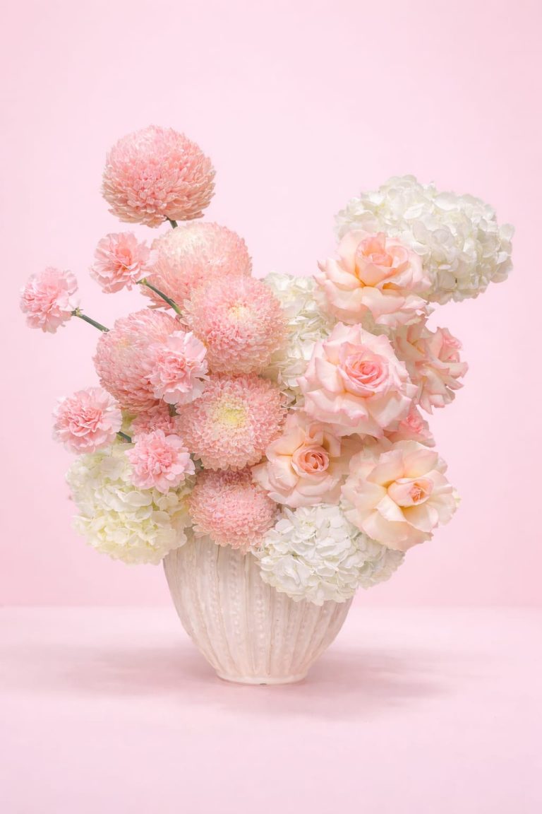 WhatsApp Image 2026-03-03 at 2.55.25 PM